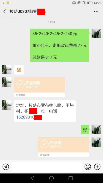 3月19日拉薩客戶轉(zhuǎn)賬317元至微信賬戶